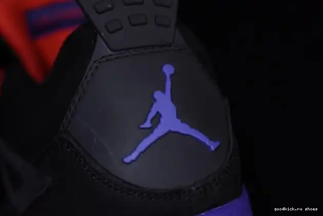 Rep Raptors